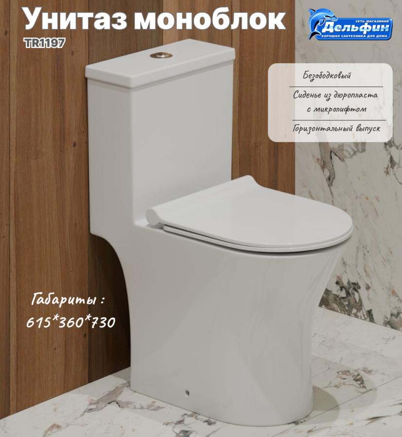 Монолит TR1197 безободковый, сиденье тонкое ДП, арматура (с гофрой и подводкой) фото