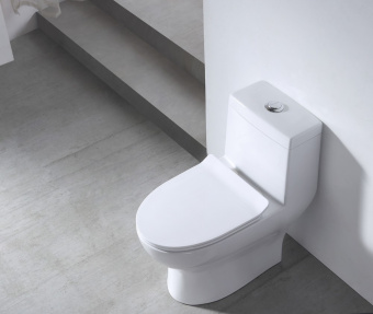 Монолит SM9601R безободковый, сиденье ДП (с гофрой и подводкой) #WF_CITY_VIN# картинка
