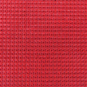Щетинистое покрытие "Красный" 0,45*0,9 #WF_CITY_VIN# картинка