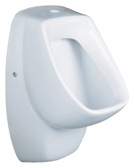 Писсуар ГАЛА #WF_CITY_VIN# картинка