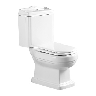 LORETTI унитаз-компакт с сиденьем полипропилен  микрол. AZ-239 #WF_CITY_VIN# картинка