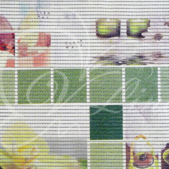 Коврик мерный 65 см (F 7) зел.клетка, цветы Фотопечать ПВХ #WF_CITY_VIN# картинка
