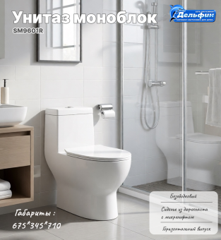 Монолит SM9601R безободковый, сиденье ДП (с гофрой и подводкой) #WF_CITY_VIN# картинка