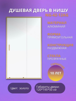 Дверь в нишу NG-42-12AG (120*195) #WF_CITY_VIN# картинка
