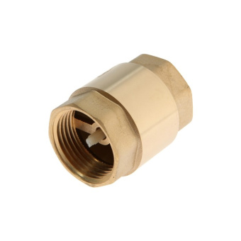 Клапан обратный 1/2 пласт сердечник #WF_CITY_VIN# картинка