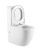unitaz-napolnyj-triton-pro-corso-co-3806-sidene-co-3806 (1)
