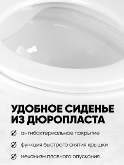 HOLLER TRON МОНОБЛОК безобод. с сиденьем дюропласт микролифт,БЕЛЫЙ #WF_CITY_VIN# картинка
