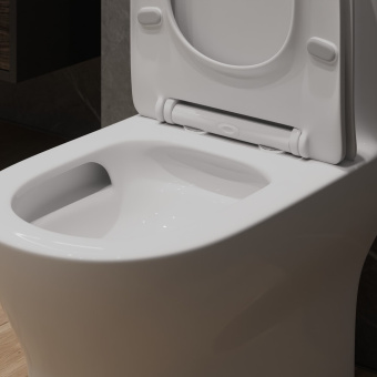 Монолит SM9618T, безободковый ТОРНАДО, тонкое сиденье ДП (с гофрой и подводкой) #WF_CITY_VIN# картинка