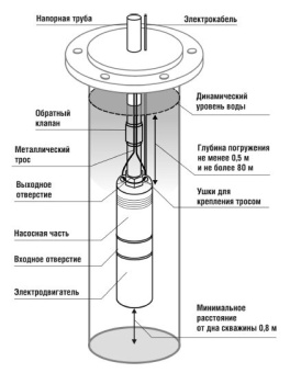 Центробежный скважный насос BELAMOS 4 TF-80 (0 83 л/ч, 80м, дл.каб.50м) #WF_CITY_VIN# картинка