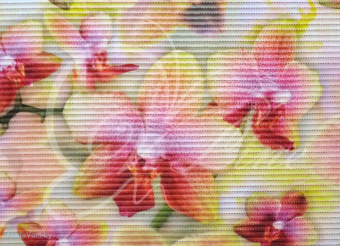 Коврик нап. ПВХ 0,65*15м (FV 11) Орхидея Фотопечать ПВХ #WF_CITY_VIN# картинка