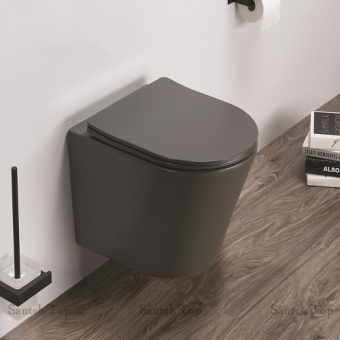 Унитаз подвесной В2330-2MDH СЕРЫЙ ТЕМНЫЙ МАТОВЫЙ #WF_CITY_VIN# картинка
