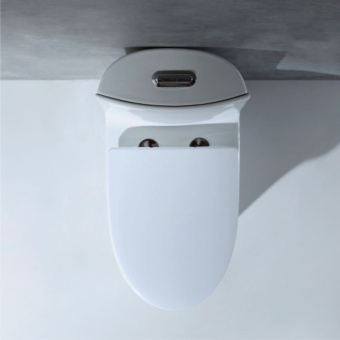 Монолит SM9612, безободковый, сиденье ДП (с гофрой и подводкой) #WF_CITY_VIN# картинка