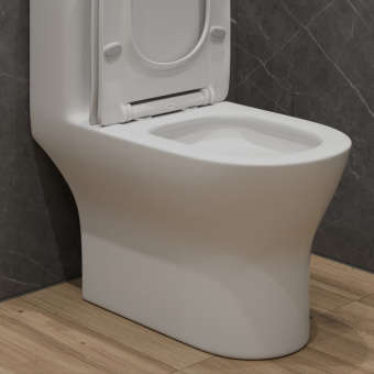 Монолит SM9618T, безободковый ТОРНАДО, тонкое сиденье ДП (с гофрой и подводкой) #WF_CITY_VIN# картинка