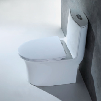 Монолит SM9612, безободковый, сиденье ДП (с гофрой и подводкой) #WF_CITY_VIN# картинка