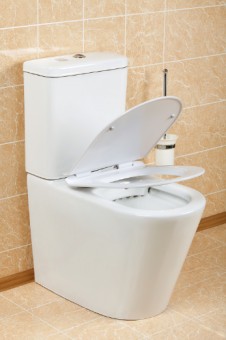 Унитаз компакт Z19-01 сенсорная кнопка #WF_CITY_VIN# картинка